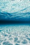 海底
