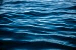 海水