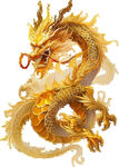 龙