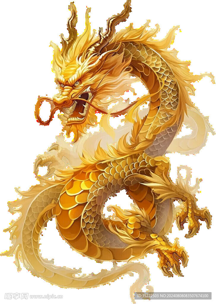 龙
