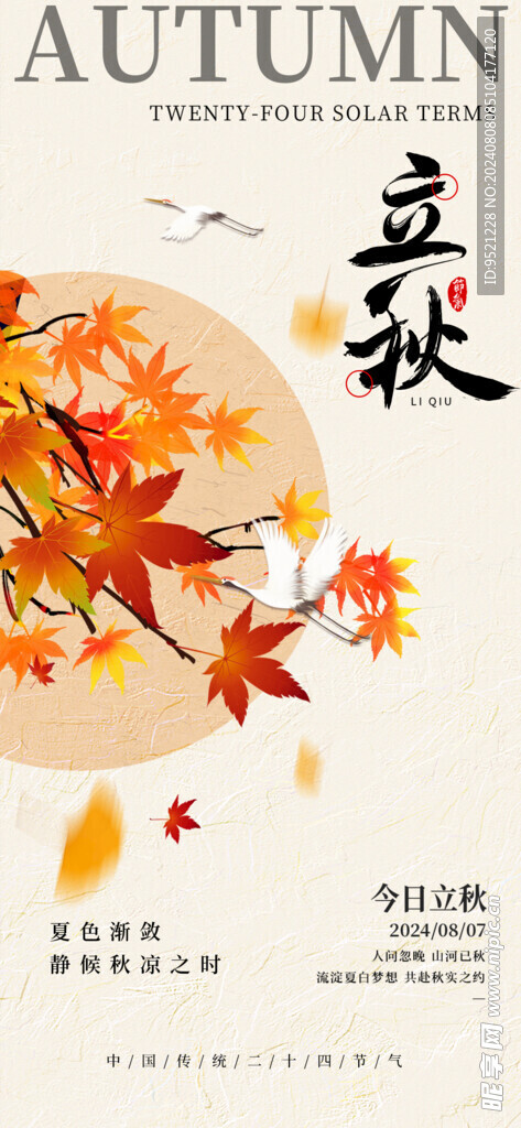 枫叶立秋节气手机海报