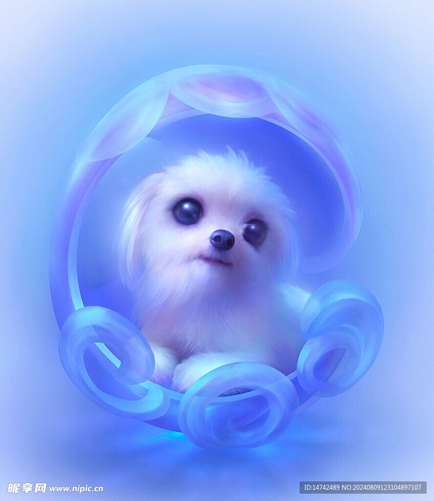 狗