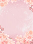 粉色 花瓣 花朵