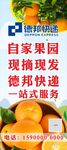 赣南脐橙