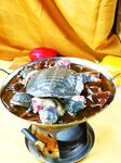 粉皮炖甲鱼