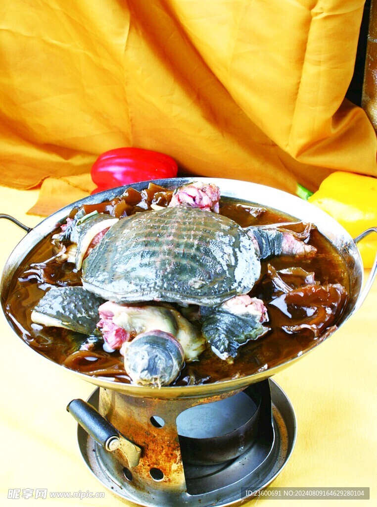 粉皮炖甲鱼