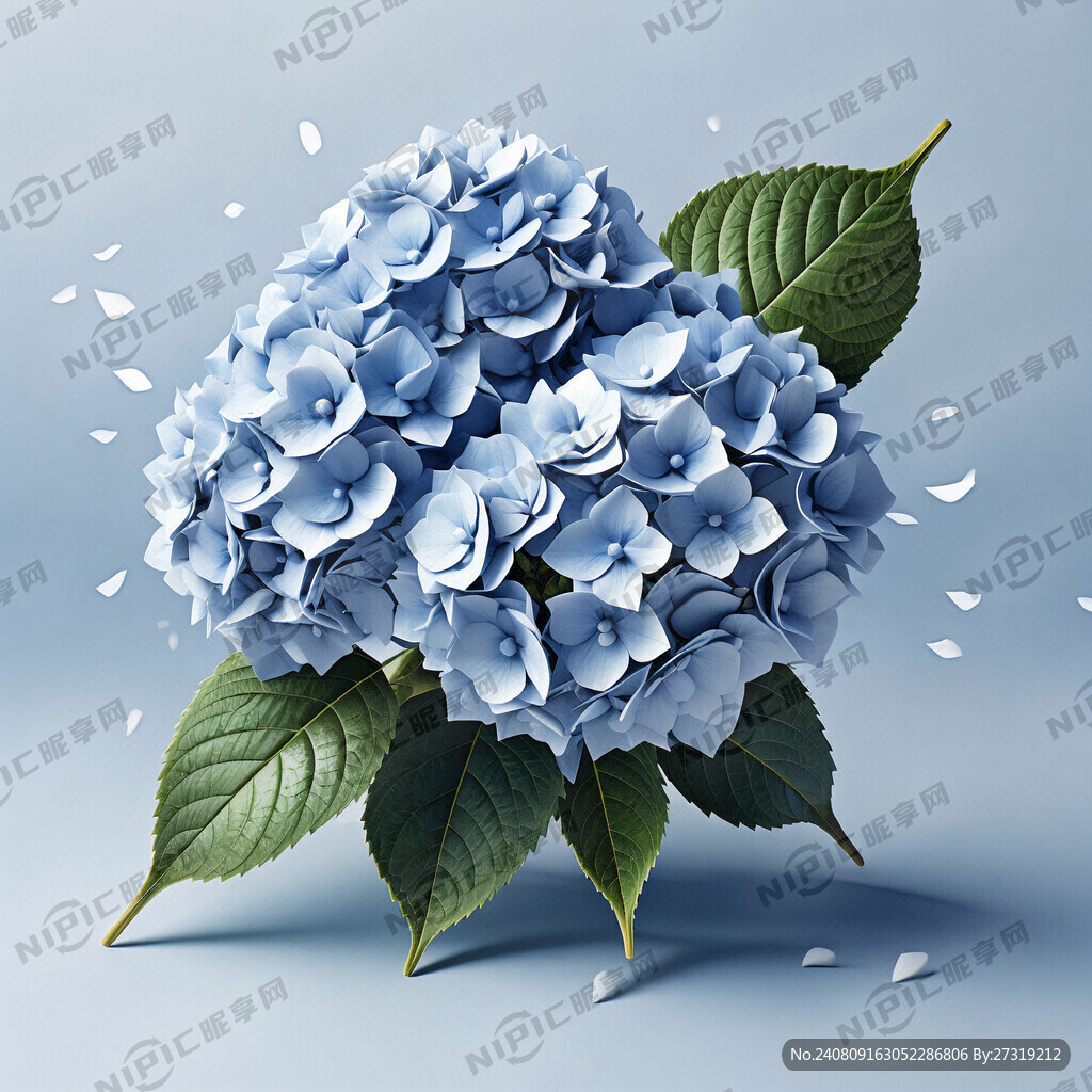 一朵绣球花 枝条扭动 俏皮可爱