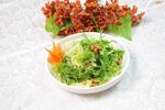 爽口苦菊