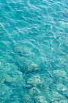 海水