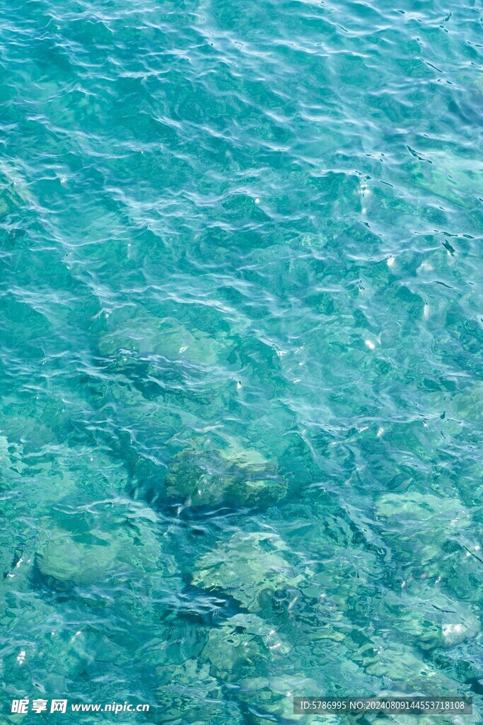 海水