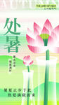 处暑 