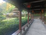 长廊
