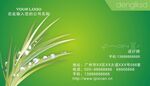 绿色名片