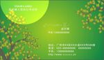绿色名片
