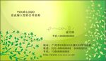 绿色卡片
