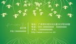 绿色名片