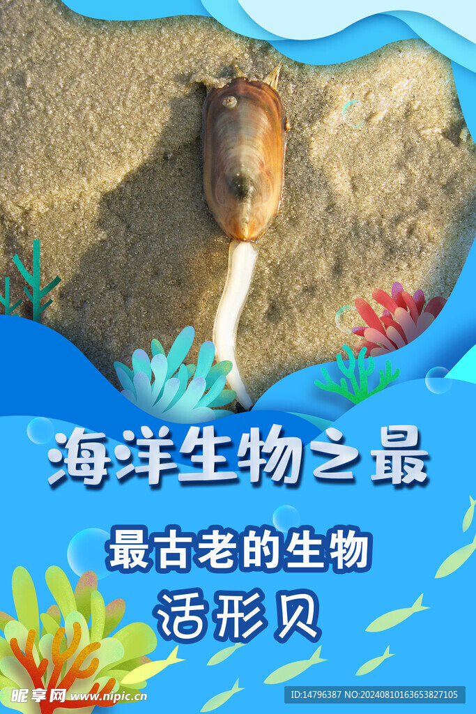 海洋生物之最