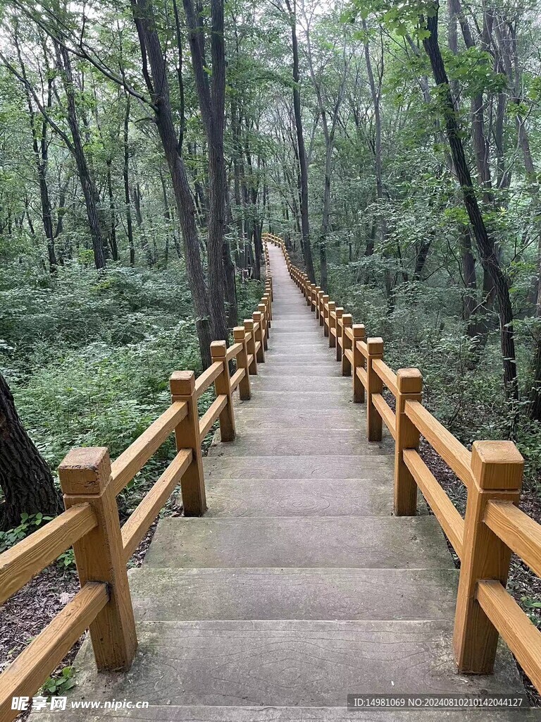 深山栈道