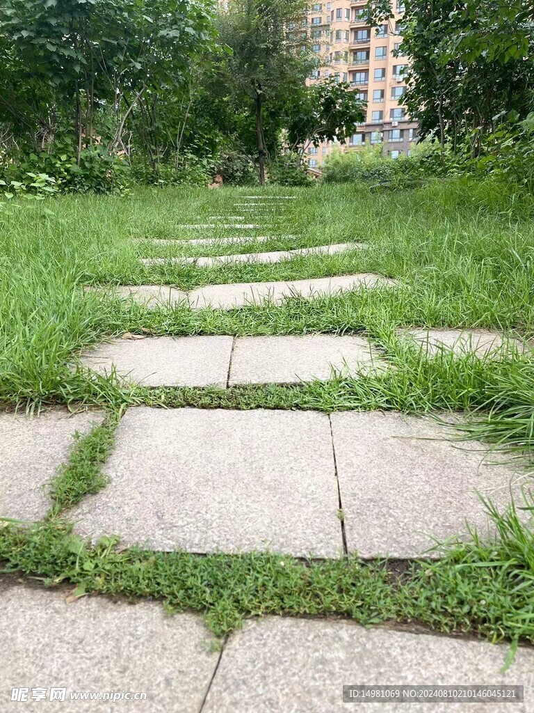 草地