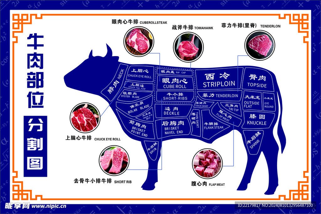 牛肉分割图