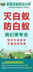 灭白蚁 防白蚁