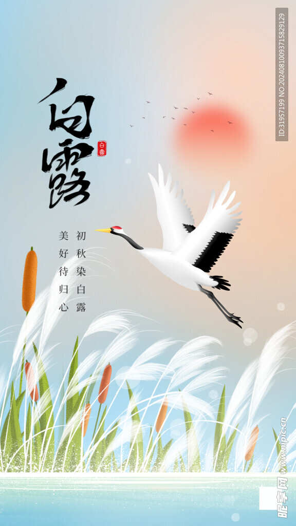 白露节气