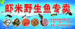 虾米野生鱼