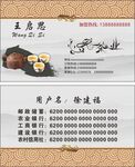 名片模板