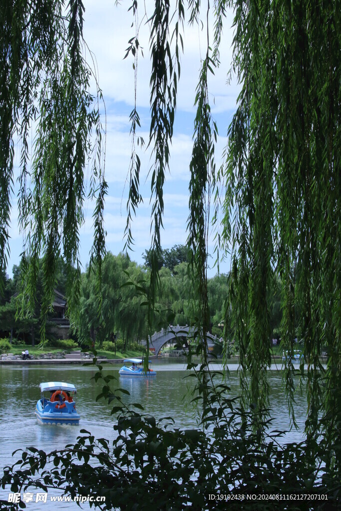 公园风景 