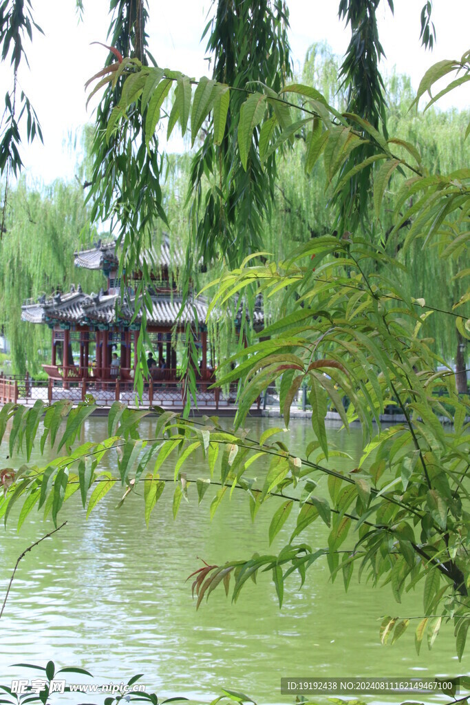 公园风景 