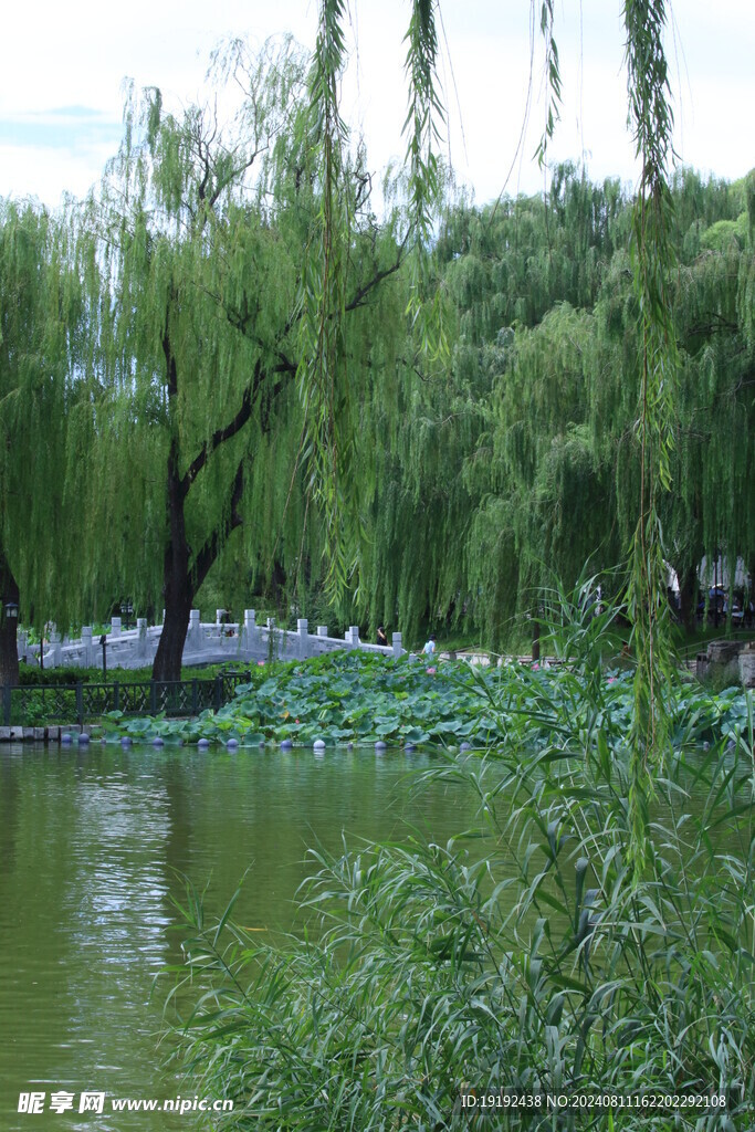 公园风景 