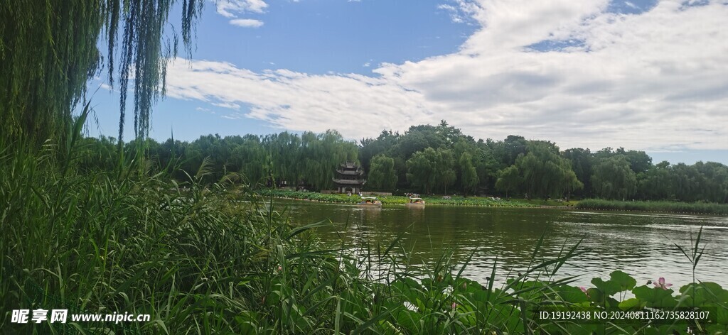 公园风景 