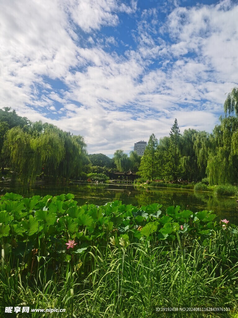 公园风景 