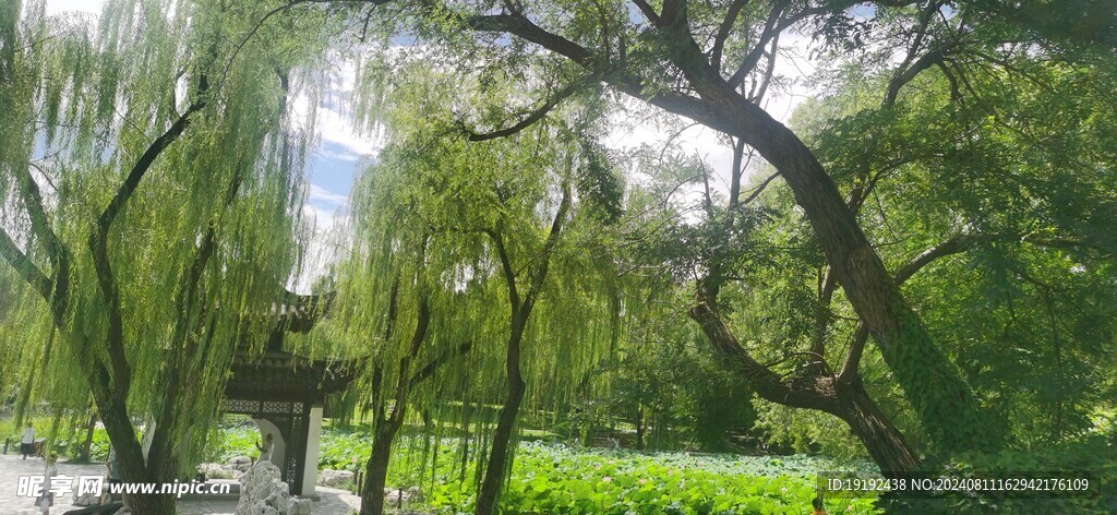 公园风景 