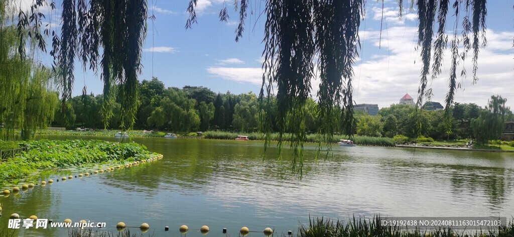 湖水风景