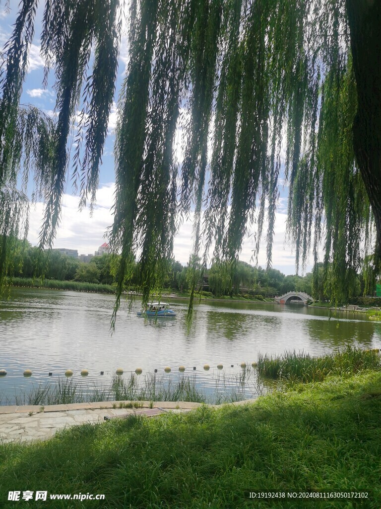 公园风景 