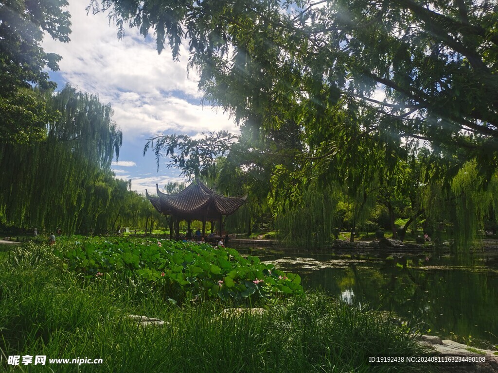 公园风景  