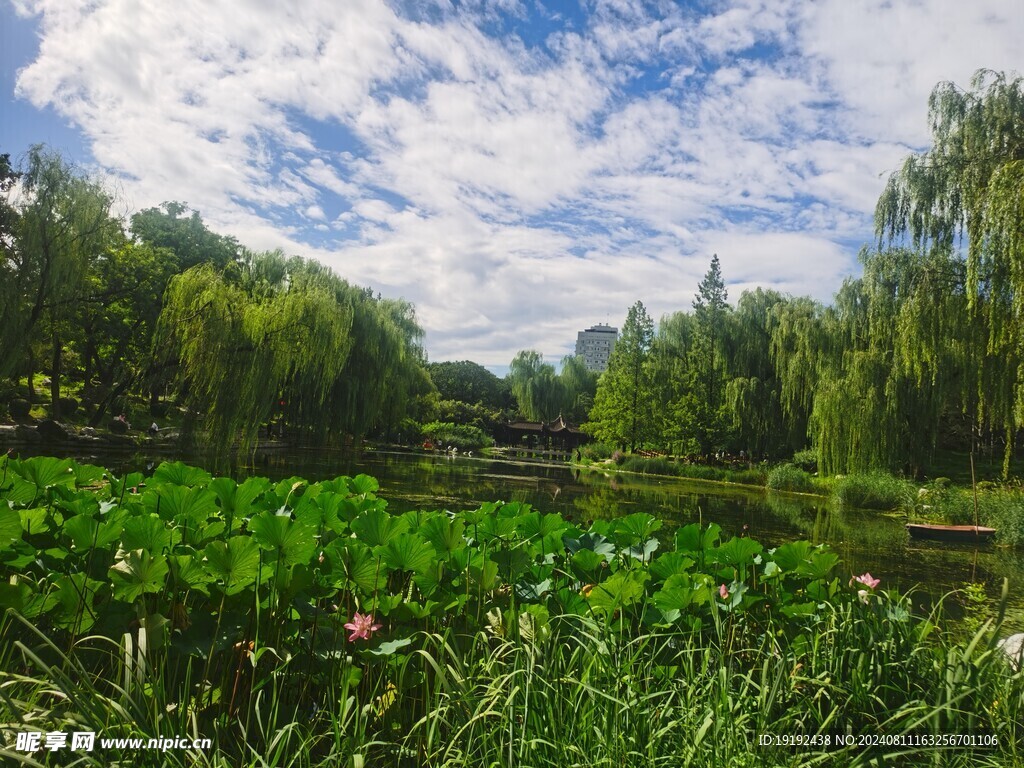 公园风景  