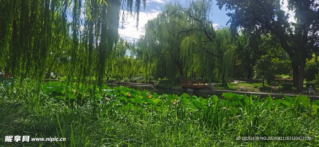 公园风景 