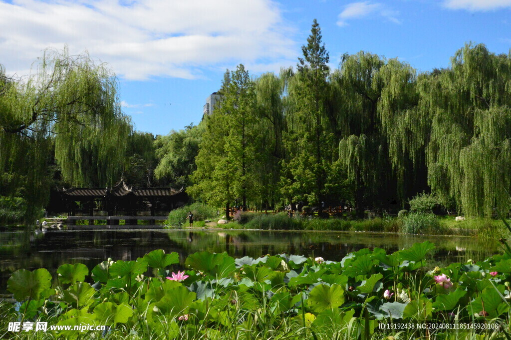 公园风景 