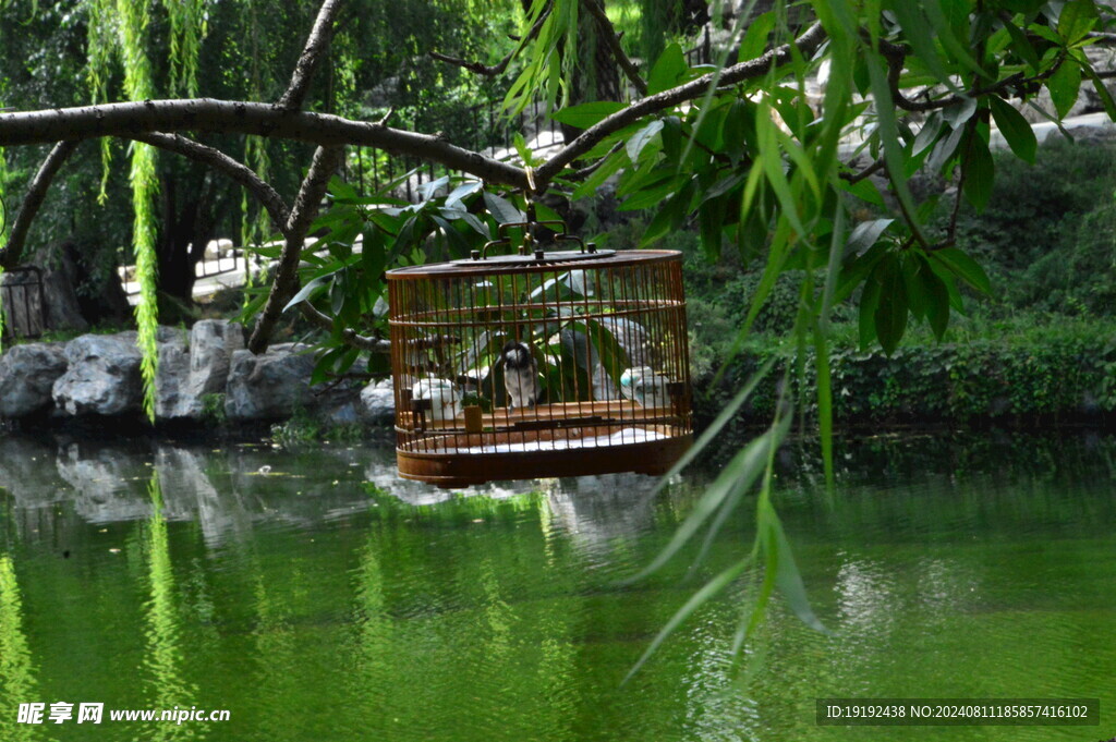 湖水风景