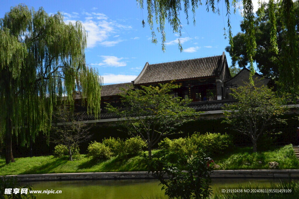 公园风景 