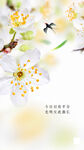 春暖花开