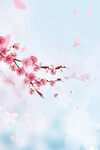花开