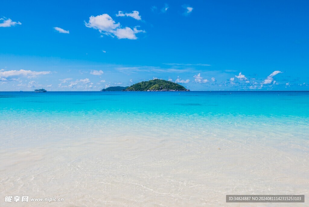 大海