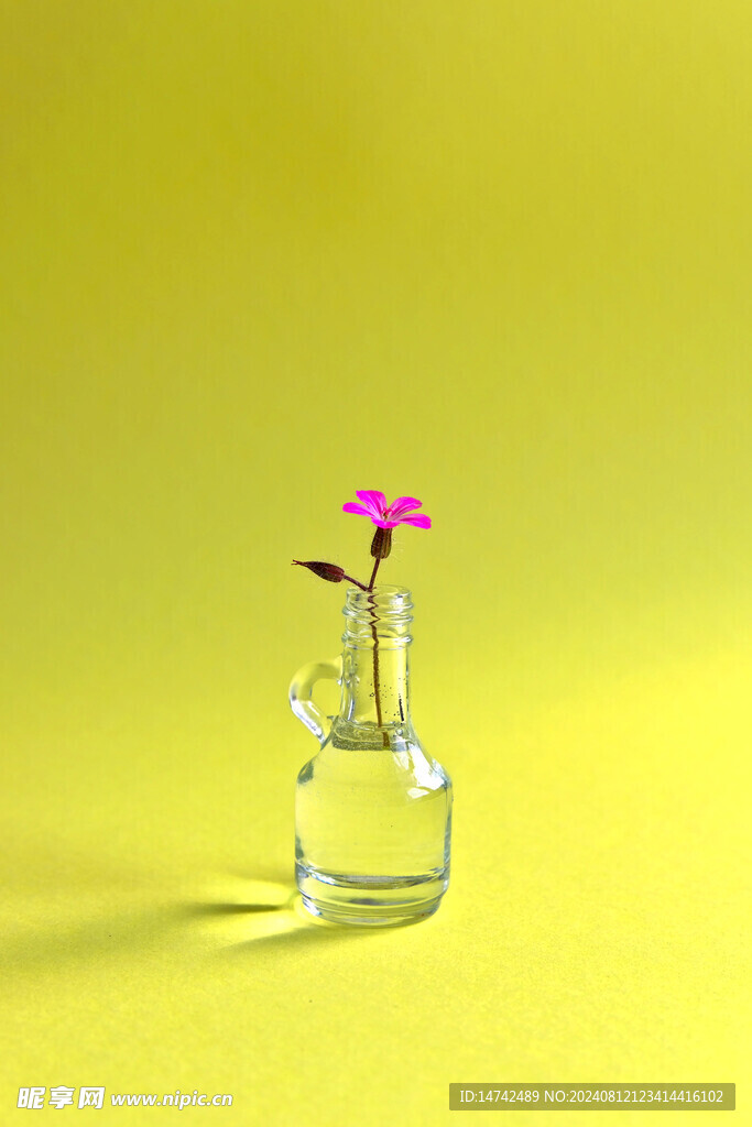 极简主义玻璃瓶插花