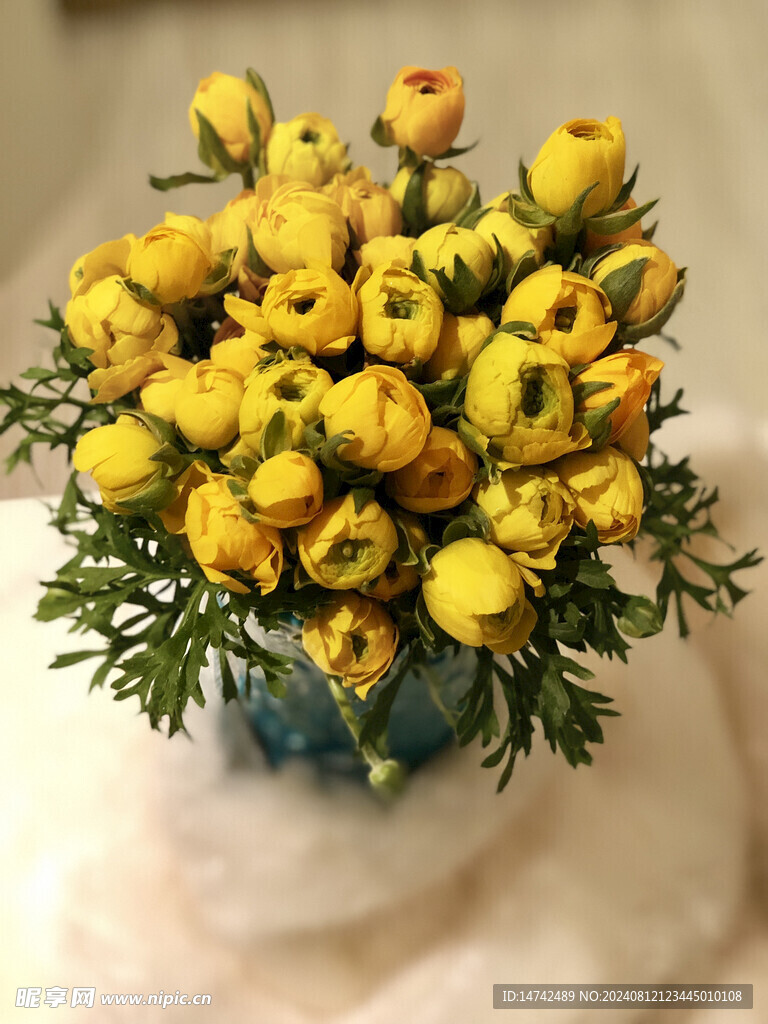 郁金香插花