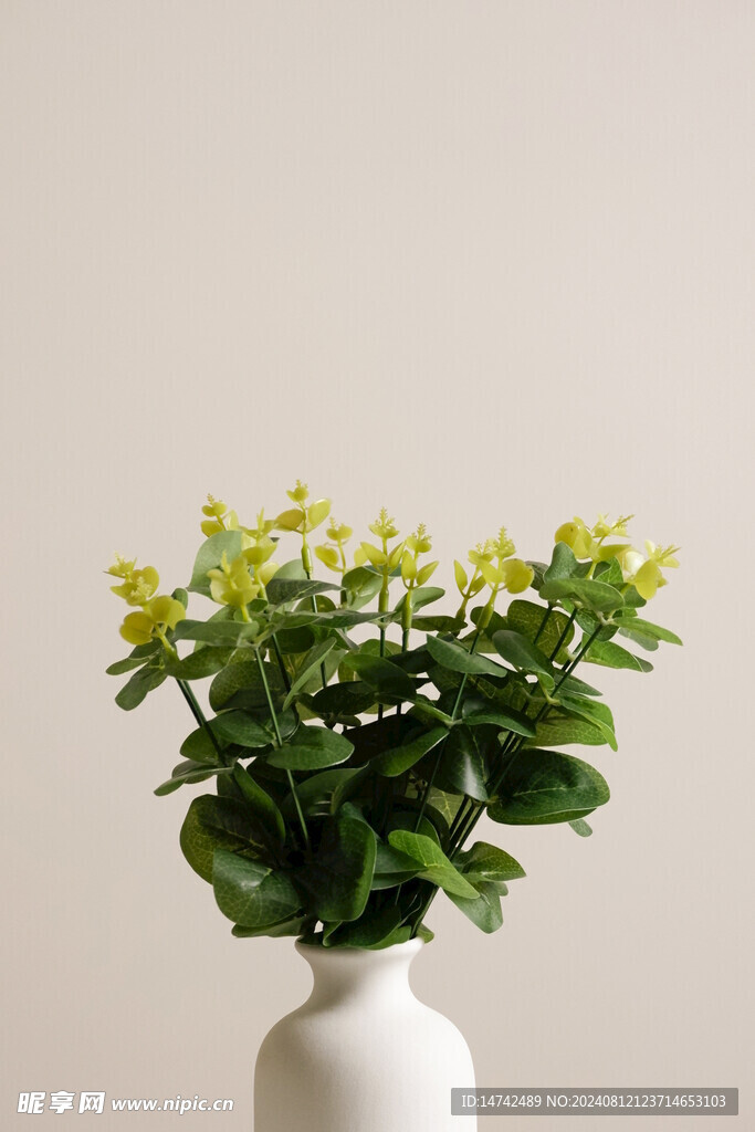 绿色植物插花