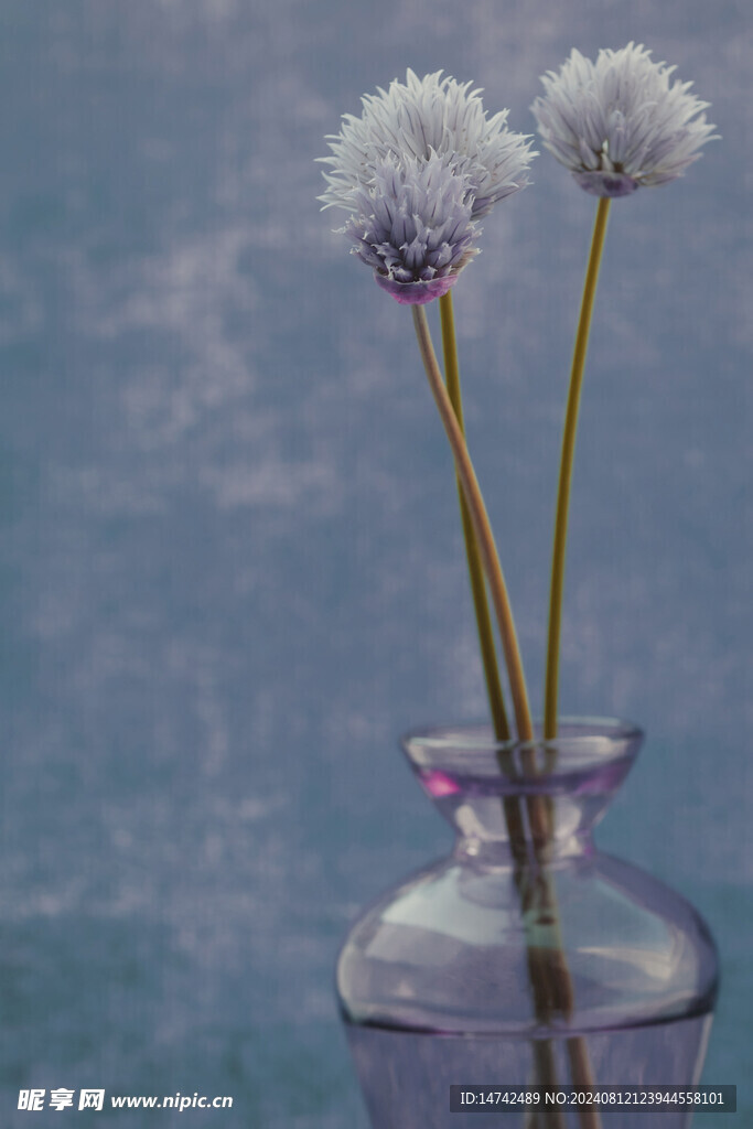 仿真毛绒花插花