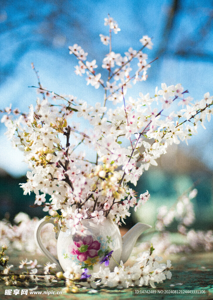 春天白色桃花插花